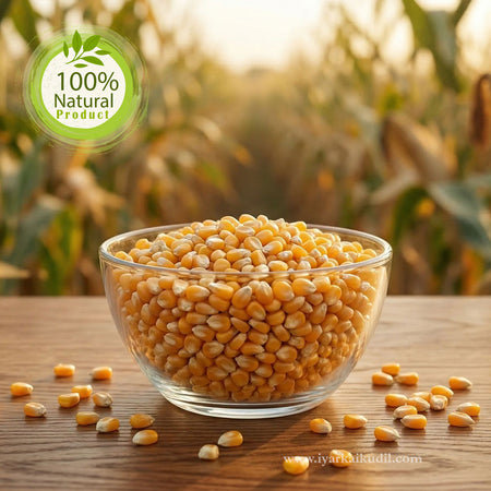 Maize Corn - மக்காச்சோளம்
