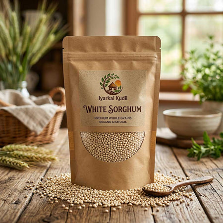 White Sorghum - வெள்ளை சோளம்