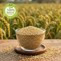 Little Millet - சாமை அரிசி