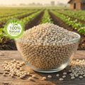 Desi Urad Dal White Whole - நாட்டு வெள்ளை உளுந்து (வம்பன் - 8)