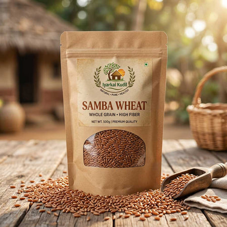 Samba Wheat - சம்பா கோதுமை