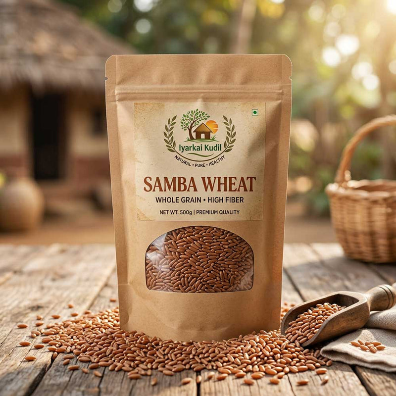 Samba Wheat - சம்பா கோதுமை