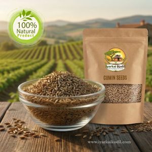CUMMIN SEEDS - சீரகம்