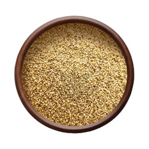 Foxtail Millet - தினை