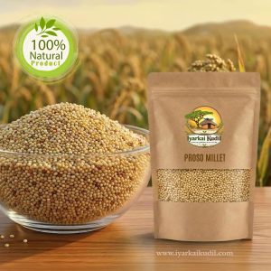 Proso Millet - பனி வரகு