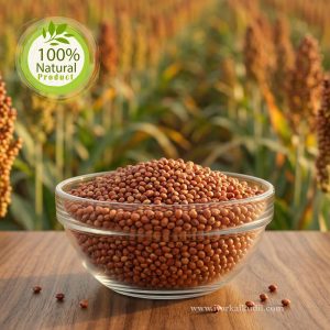 Red Sorghum - சிகப்பு சோளம்