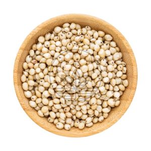 White Sorghum - வெள்ளை சோளம்