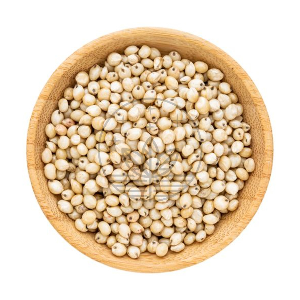 White Sorghum - வெள்ளை சோளம்